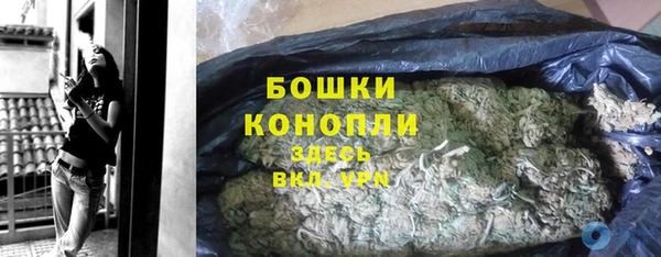 ПСИЛОЦИБИНОВЫЕ ГРИБЫ Новодвинск