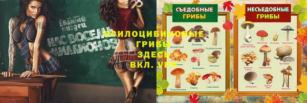 герыч Новозыбков