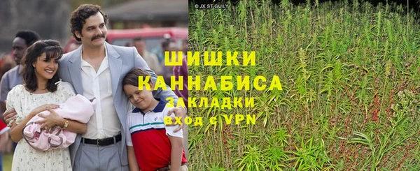 ПСИЛОЦИБИНОВЫЕ ГРИБЫ Новодвинск