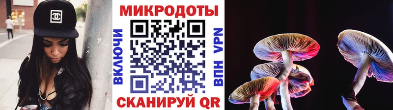 Псилоцибиновые грибы MAGIC MUSHROOMS  Купить  Фрязино 